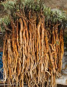 Tongkat Ali Ginseng Coffee